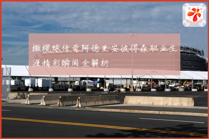 橄榄球传奇阿德里安彼得森职业生涯精彩瞬间全解析