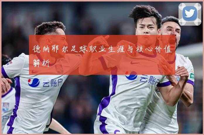 德纳耶尔足球职业生涯与核心价值解析