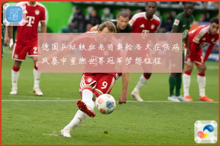 德国乒坛铁血老将奥恰洛夫在伤病风暴中重燃世界冠军梦想征程